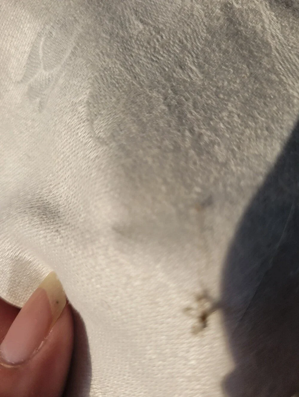 Source Unknown soft linen